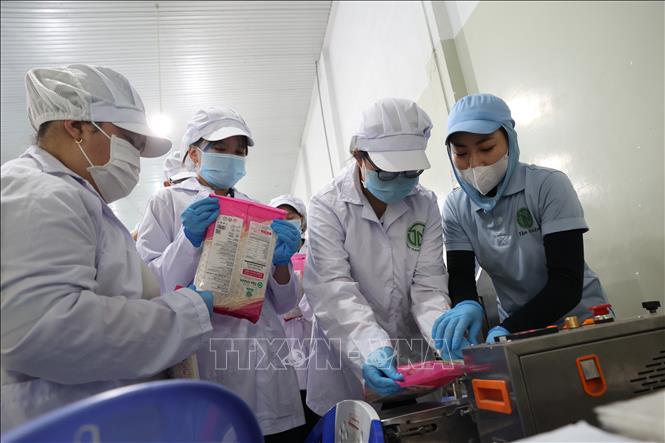 Các em học sinh lớp 11A1, Trường Trung học phổ thông Lý Thường Kiệt trải nghiệm thực tế tự tay đóng gói sản phẩm tại Công ty TNHH Tân Nhiên. Ảnh: Thanh Tân - TTXVN