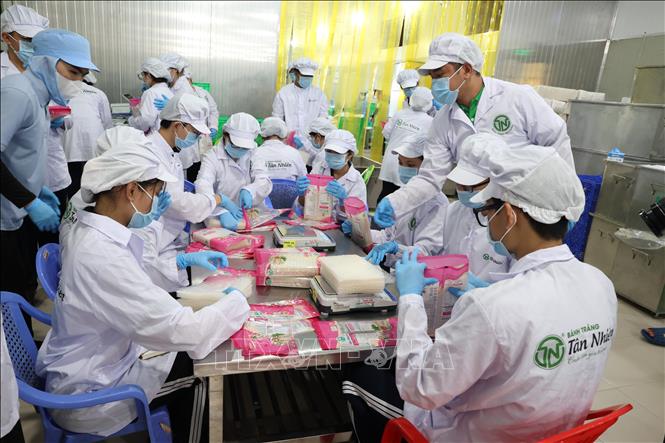 Các em học sinh lớp 11A1, Trường Trung học phổ thông Lý Thường Kiệt trải nghiệm thực tế tự tay đóng gói sản phẩm tại Công ty TNHH Tân Nhiên. Ảnh: Thanh Tân - TTXVN