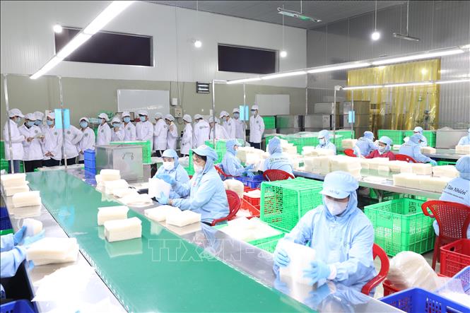 Các em học sinh lớp 11A1, Trường Trung học phổ thông Lý Thường Kiệt khảo sát khu sản xuất tại Công ty TNHH Tân Nhiên. Ảnh: Thanh Tân - TTXVN