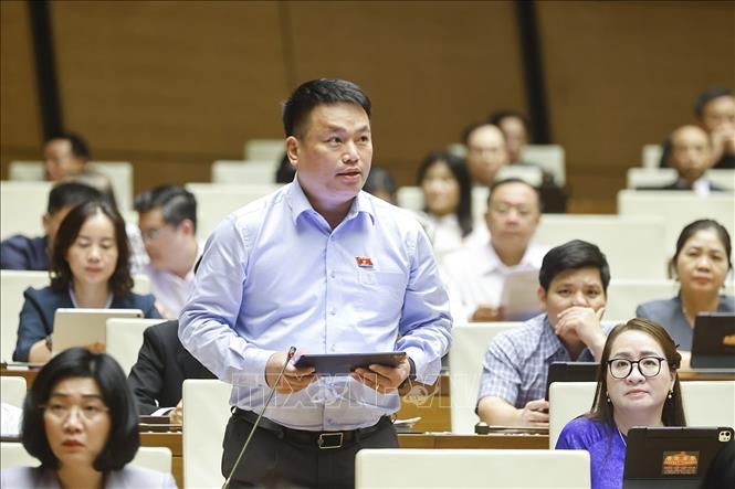 Đại biểu Quốc hội tỉnh Quảng Ngãi Đặng Ngọc Huy phát biểu. Ảnh: Doãn Tấn - TTXVN