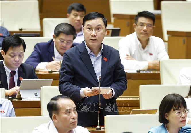 Đại biểu Quốc hội tỉnh Gia Lai Lê Hoàng Anh phát biểu. Ảnh: Doãn Tấn - TTXVN