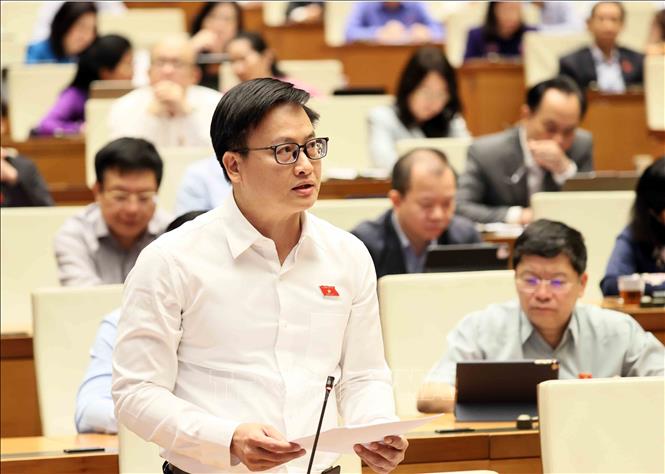 Đại biểu Quốc hội thành phố Đà Nẵng Phan Duy Anh phát biểu. Ảnh: An Đăng - TTXVN