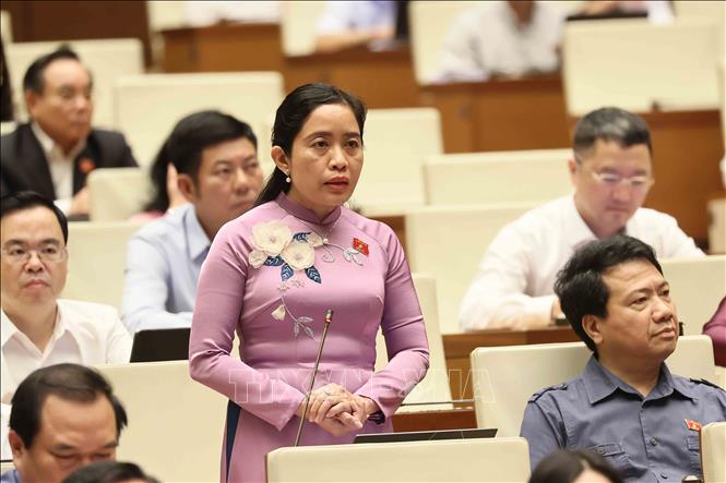 Đại biểu Quốc hội tỉnh Đắk Lắk Lê Thị Thanh Xuân phát biểu. Ảnh: An Đăng - TTXVN