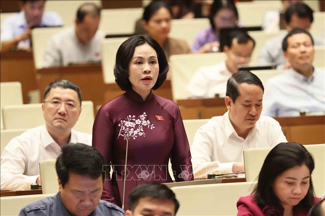 Đại biểu Quốc hội tỉnh Ninh Bình Trần Thị Hồng Thanh phát biểu. Ảnh: An Đăng - TTXVN