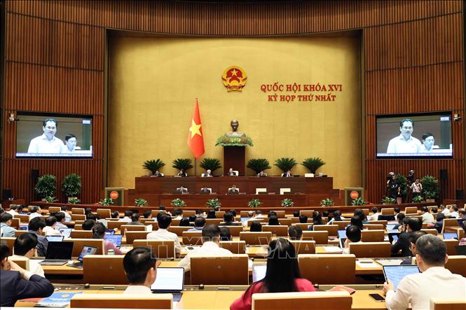 Bộ trưởng Bộ Nông nghiệp và Môi trưởng Trịnh Việt Hùng phát biểu giải trình, làm rõ một số vấn đề đại biểu Quốc hội nêu. Ảnh: An Đăng - TTXVN