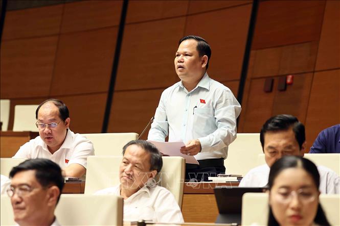 Đại biểu Quốc hội tỉnh Cà Mau Nguyễn Duy Thanh phát biểu. Ảnh: An Đăng - TTXVN