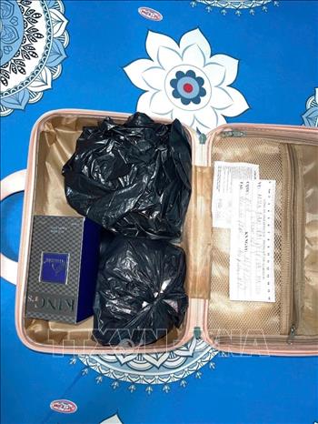 Tang vật tại hiện trường được lực lượng chức năng thu giữ. Ảnh: TTXVN phát 