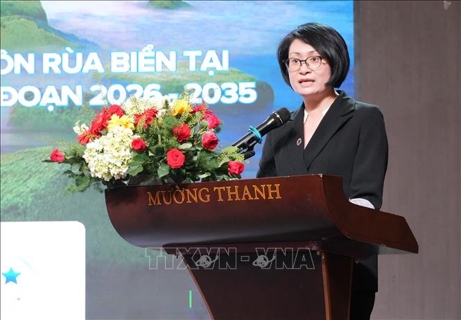 Bà Hoàng Thu Thủy, cán bộ Chương trình Phát triển Liên Hợp Quốc (UNDP) tại Việt Nam phát biểu tại Hội thảo. Ảnh: Nguyễn Thành – TTXVN