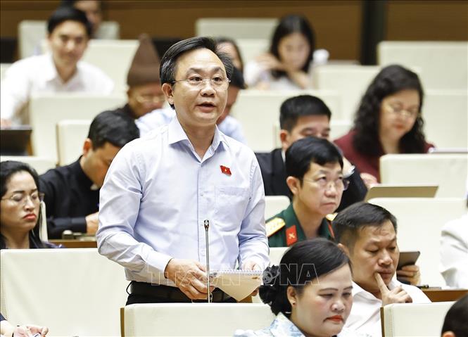 Đại biểu Quốc hội tỉnh Quảng Trị Hoàng Xuân Tân phát biểu. Ảnh: Doãn Tấn - TTXVN