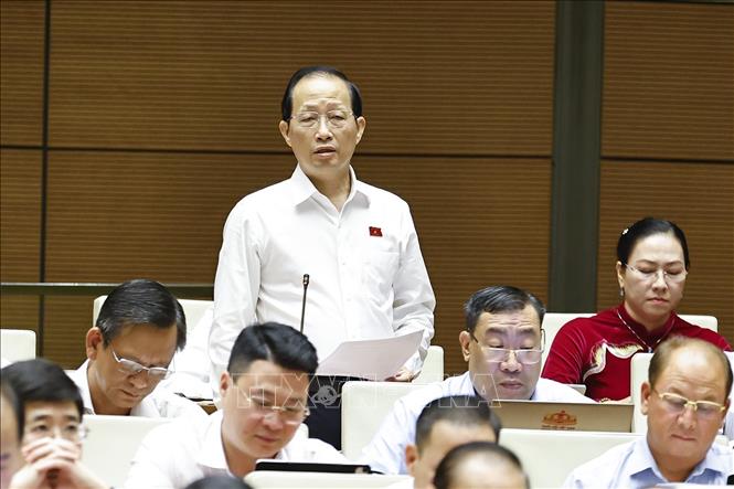 Đại biểu Quốc hội tỉnh Vĩnh Long Nguyễn Trúc Sơn phát biểu. Ảnh: Doãn Tấn - TTXVN