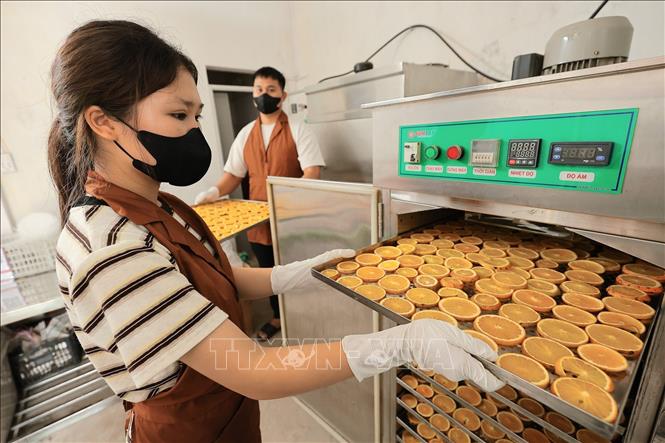 Sản phẩm trà detox cam được sản xuất theo quy trình hiện đại, giữ trọn hương vị tự nhiên. Ảnh: Lê Đông - TTXVN