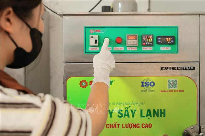 HTX đã ứng dụng công nghệ sấy lạnh vào quy trình sản xuất trà detox, giúp nâng tầm giá trị và kéo dài thời gian bảo quản cho nông sản. Ảnh: Lê Đông - TTXVN