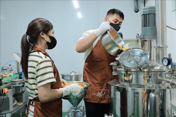 HTX tập trung nguồn lực vào công nghệ chế biến, biến những trái cam tươi thành các dòng sản phẩm giá trị gia tăng cao như trà detox và mứt cam. Ảnh: Lê Đông - TTXVN