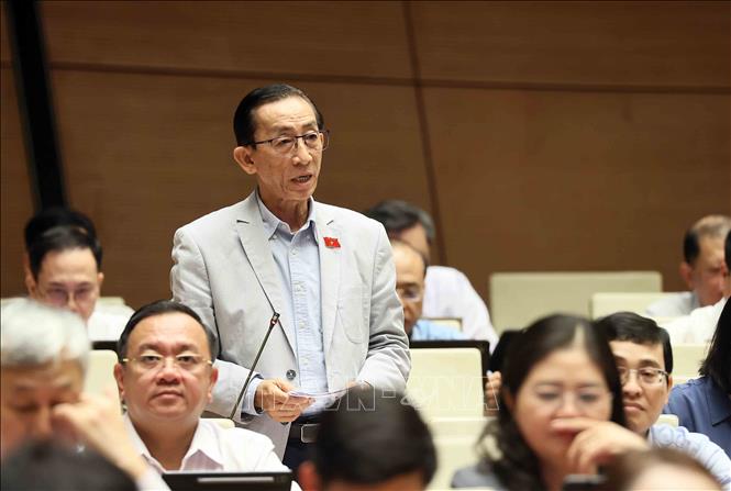 Đại biểu Quốc hội thành phố Hồ Chí Minh Trần Hoàng Ngân phát biểu. Ảnh: An Đăng - TTXVN