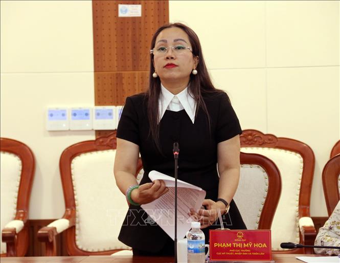 Bà Phạm Thị Mỹ Hoa, Phó Cục trưởng Cục Mỹ thuật, Nhiếp ảnh và Triển lãm phát biểu tại buổi làm việc. Ảnh: Công Thử - TTXVN
