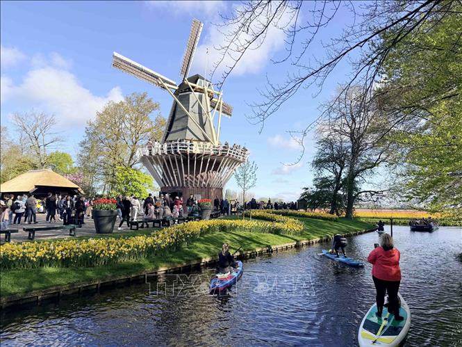Một góc công viên Keukenhof. Ảnh : Hương Giang - PV TTXVN tại Bỉ