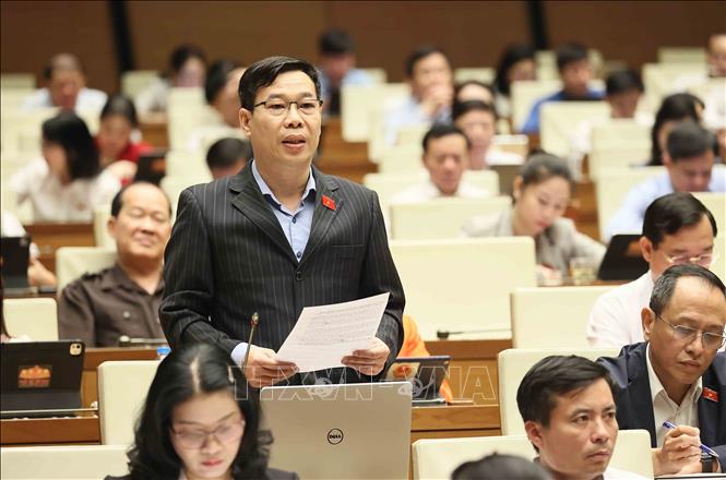 Đại biểu Quốc hội thành phố Hà Nội Đỗ Đức Hồng Hà phát biểu. Ảnh: An Đăng - TTXVN