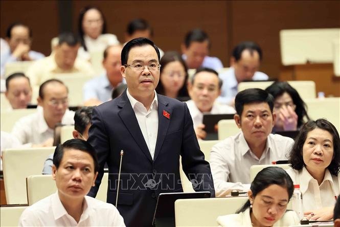 Đại biểu Quốc hội tỉnh Ninh Bình Trần Văn Khải phát biểu. Ảnh: An Đăng - TTXVN