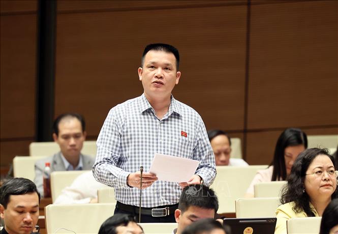 Đại biểu Quốc hội tỉnh Tuyên Quang Hoàng Ngọc Định phát biểu. Ảnh: An Đăng - TTXVN