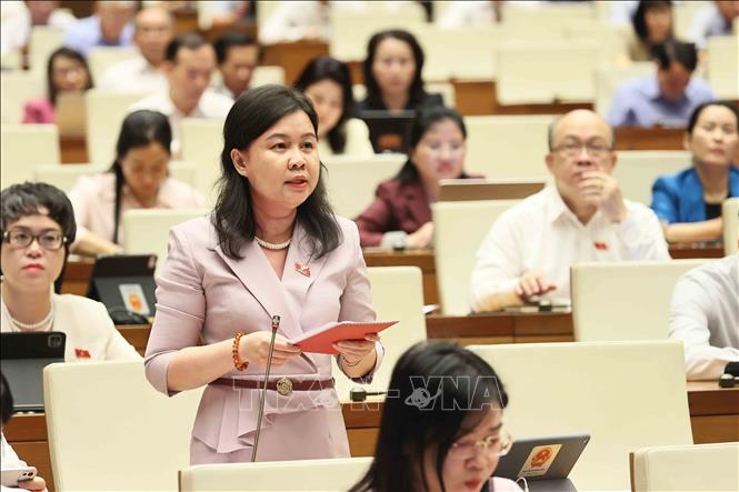 Đại biểu Quốc hội thành phố Hà Nội Nguyễn Phương Thủy phát biểu. Ảnh: An Đăng - TTXVN