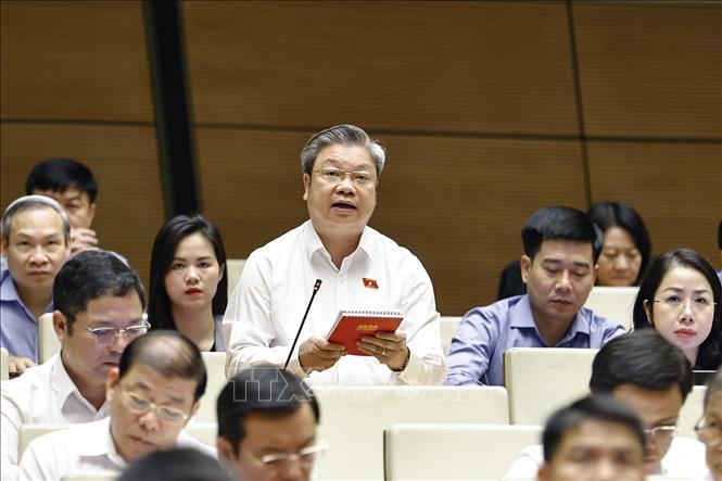 Đại biểu Quốc hội tỉnh Thanh Hóa Bùi Văn Dūng phát biểu. Ảnh: Doãn Tấn - TTXVN