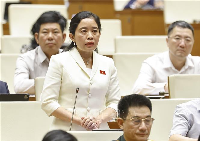 Đại biểu Quốc hội tỉnh Đắk Lắk Lê Thị Thanh Xuân phát biểu. Ảnh: Doãn Tấn - TTXVN