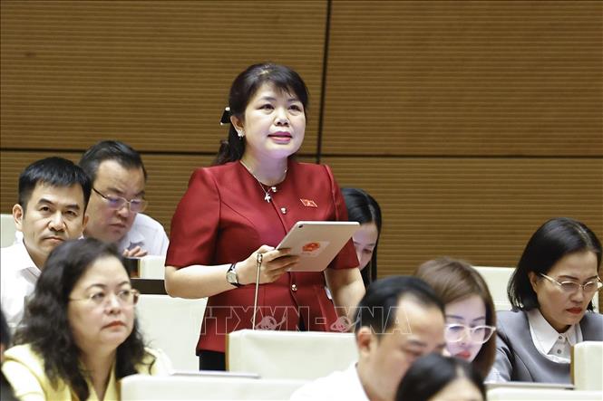 Đại biểu Quốc hội tỉnh Quảng Ninh Nguyễn Thị Thu Hà phát biểu. Ảnh: Doãn Tấn - TTXVN