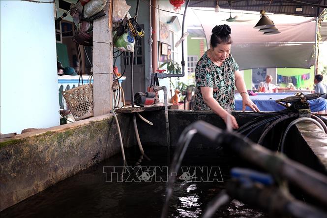 Hộ gia đình bà Đinh Thị Bình cấp nước sinh hoạt cho các hộ dân xóm Tiểu Khu cả ngày lẫn đêm. Ảnh: Thanh Hải - TTXVN  