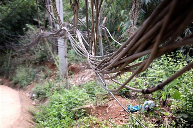 Các ống nước kéo từ mó nước về được buộc chằng chịt bên đường. Ảnh: Thanh Hải - TTXVN  