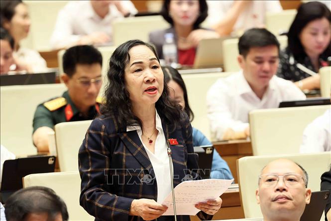 Đại biểu Quốc hội tỉnh Đồng Tháp Phạm Thị Mùi phát biểu. Ảnh: An Đăng - TTXVN