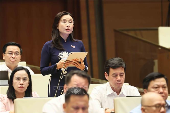 Đại biểu Quốc hội Thành phố Hồ Chí Minh Nguyễn Phạm Duy Trang phát biểu. Ảnh: An Đăng - TTXVN