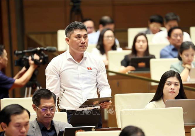 Đại biểu Quốc hội tỉnh Ninh Bình Phạm Anh Tuấn phát biểu. Ảnh: An Đăng - TTXVN