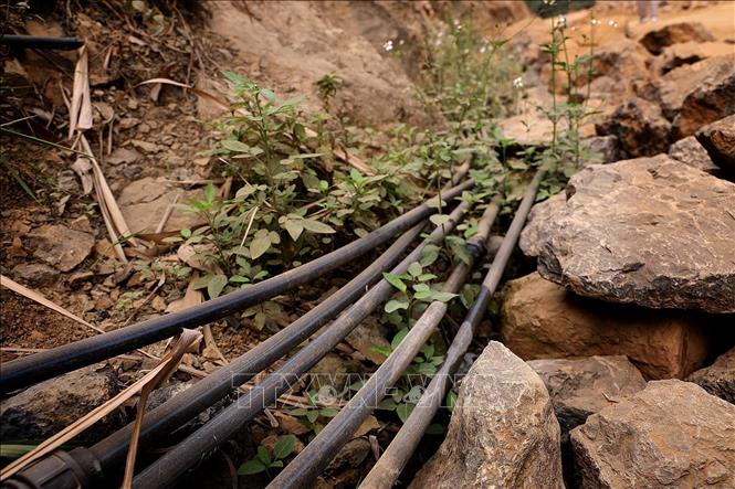 Các ống nước kéo từ mó nước về bị đất đá vùi lấp, người dân phải bỏ ra hàng triệu đồng để sửa chữa, thay thế. Ảnh: Thanh Hải - TTXVN 