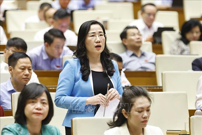 Đại biểu Quốc hội tỉnh Thái Nguyên Nguyễn Thị Thủy phát biểu. Ảnh: Doãn Tấn - TTXVN