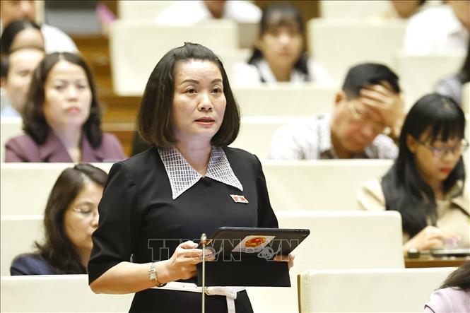 Đại biểu Quốc hội tỉnh Quảng Trị Nguyễn Minh Tâm phát biểu. Ảnh: Doãn Tấn - TTXVN