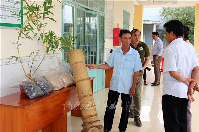 Nông dân tham quan tìm hiểu một số mô hình chuyển đổi cây trồng được giưới thiệu tại tọa đàm. Ảnh: Hồng Hiếu- TTXVN