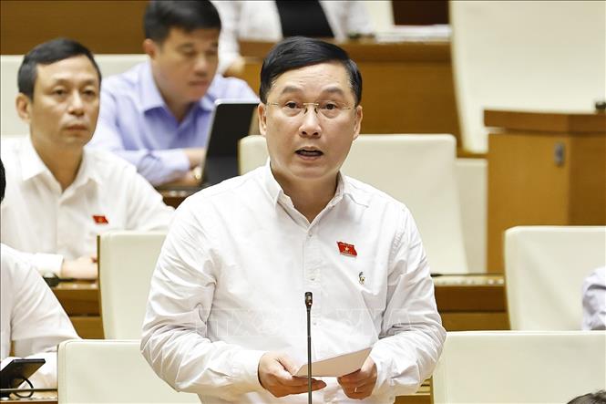 Đại biểu Quốc hội tỉnh Gia Lai Lê Hoàng Anh phát biểu. Ảnh: Doãn Tấn - TTXVN