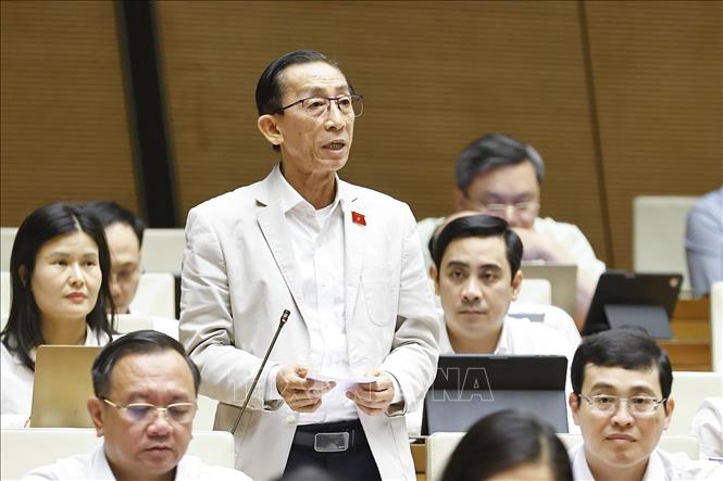 Đại biểu Quốc hội TP Hồ Chí Minh Trần Hoàng Ngân phát biểu. Ảnh: Doãn Tấn - TTXVN