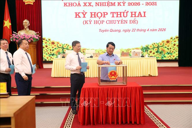 HĐND tỉnh Tuyên Quang tiến hành bầu Ủy viên UBND tỉnh nhiệm kỳ 2026 - 2031. Ảnh: Quang Cường - TTXVN