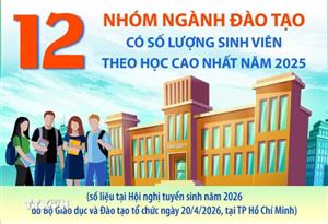 12 nhóm ngành đào tạo có số lượng sinh viên theo học cao nhất năm 2025