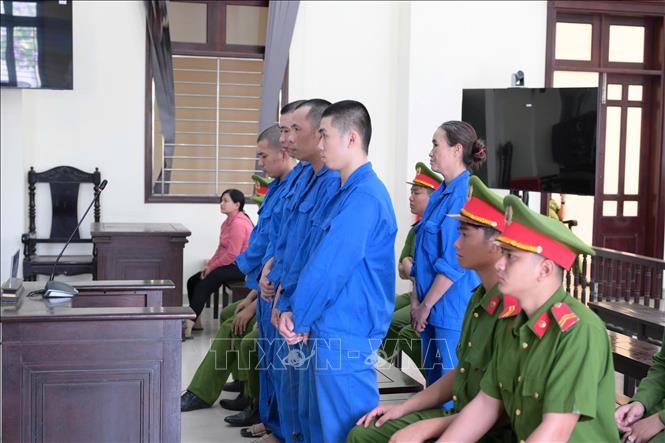 Các bị cáo Mai Văn Hậu, Mai Thị Lành, Mai Trọng Hiếu, Mai Văn Thảo, Nguyễn Minh Trí tại phiên tòa. Ảnh: TTXVN phát