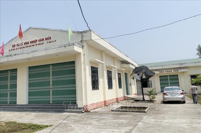 Hợp tác xã Nông nghiệp Hành Nhân, xã Phước Giang thuộc diện được hỗ trợ kinh phí phát triển mô hình hợp tác xã bền vững nhưng hơn một năm qua chưa nhận được kinh phí. Ảnh: Phạm Cường-TTXVN