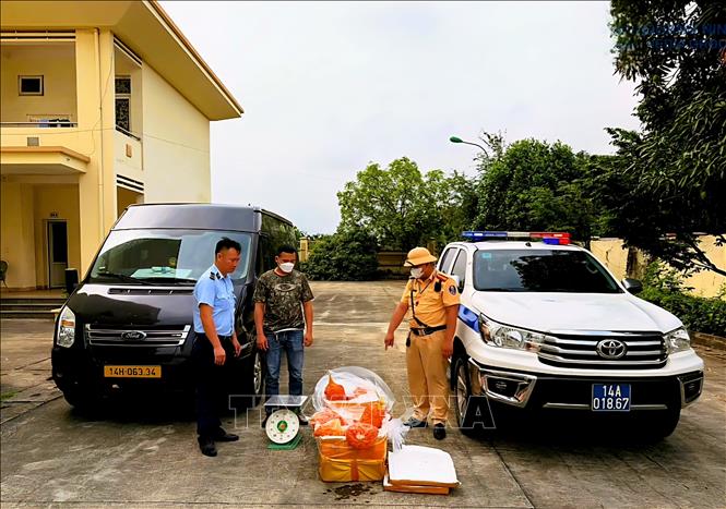 Tổ công tác Đội Cảnh sát giao thông đường bộ số 1 (Công an tỉnh) kiểm tra số lượng trứng gà non không có hóa đơn, chứng từ trên xe khách lưu thông qua địa phận phường Yên Tử, ngày 22/4. Ảnh: TTXVN phát 