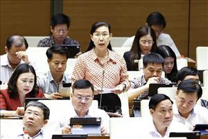 Cần tránh quy định quá chi tiết về thí điểm luật sư công