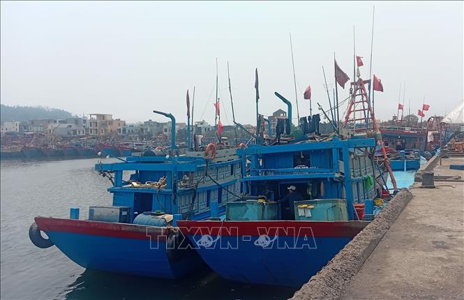 Cảng cá Lạch bạng, phường Hải Bình, Thanh Hóa bị bồi lắng luồng lạch, khiến tàu thuyền gặp khó khi ra vào bến. Ảnh: Nguyễn Nam-TTXVN