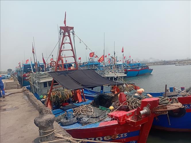 Cảng cá Lạch bạng, phường Hải Bình, Thanh Hóa bị bồi lắng luồng lạch, khiến tàu thuyền gặp khó khi ra vào bến. Ảnh: Nguyễn Nam-TTXVN