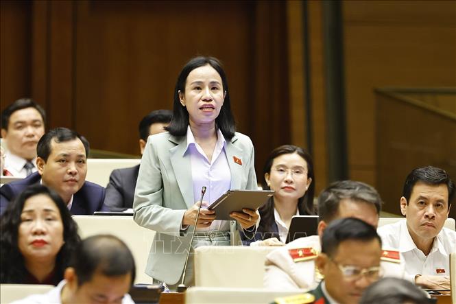 Đại biểu Quốc hội Thành phố Hồ Chí Minh Võ Ngọc Thanh Trúc phát biểu. Ảnh: Doãn Tấn - TTXVN