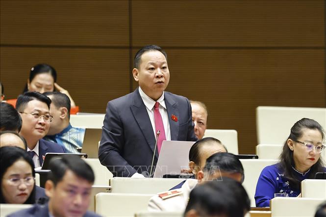 Đại biểu Quốc hội tỉnh Lào Cai Tráng A Dương phát biểu. Ảnh: Doãn Tấn - TTXVN