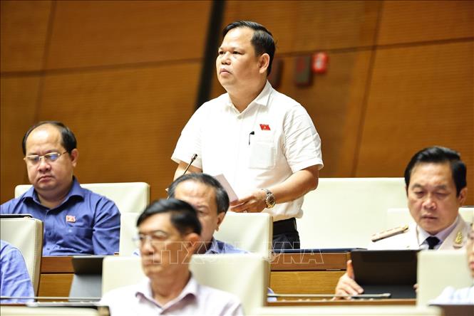 Đại biểu Quốc hội tỉnh Cà Mau Nguyễn Duy Thanh phát biểu. Ảnh: Minh Đức - TTXVN