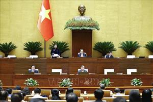 Quốc hội thảo luận về dự án Luật sửa đổi, bổ sung một số điều của 4 luật về thuế